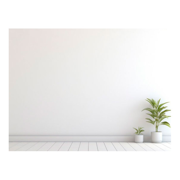 Pintura Plástica Blanca Mate Premium - Exterior