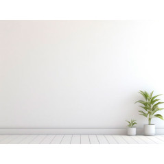 Pintura Plástica Blanca Mate Premium - Exterior